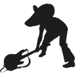 Bronco